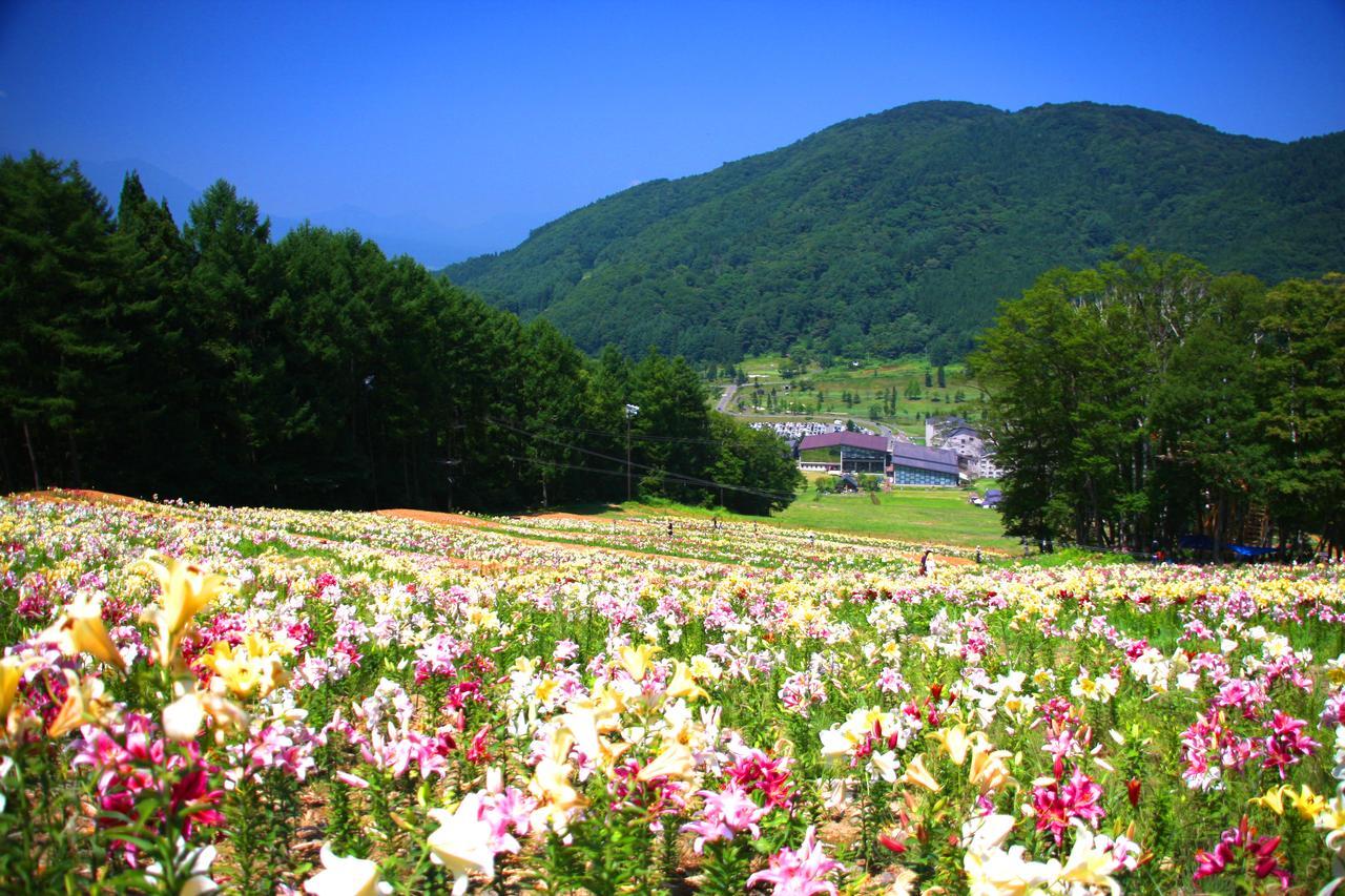 Hotel Harvest Madarao Shinano  Dış mekan fotoğraf